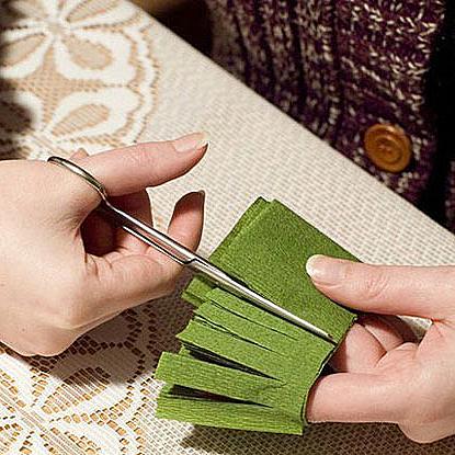                                              Нарежете зелената креп хартия на дълги ивици с ширина около 5-6 см. За 
да стане по-бързо може да сгънете хартията на няколко слоя. След това 
разрежете ивиците напречно, не до самия край, на ресни с ширина около 
0,5 см и ги усучете.
                                             