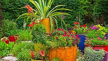 Идеи и съвети как да планирате вашата градина